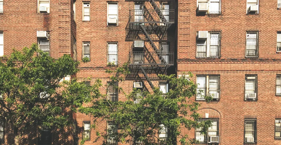 Cambridge Springs — mold removal